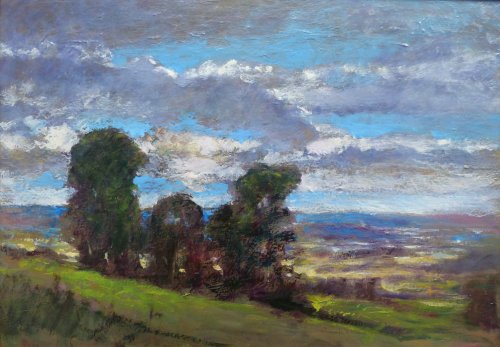 arbres dans un paysage
